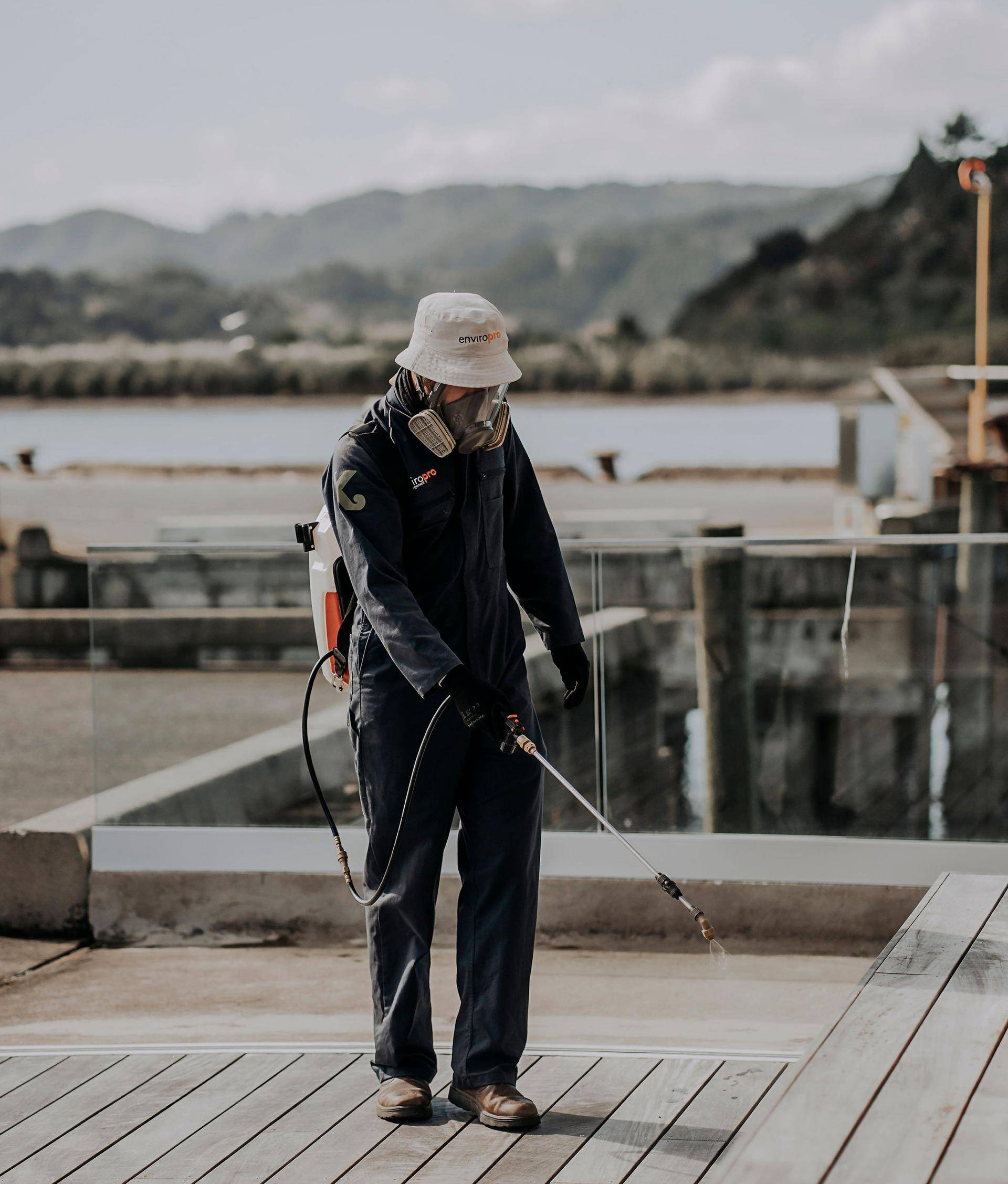 Quarterly Pest & Rodent Control Whangarei
